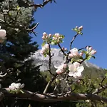 Διαμέρισμα Zaunkoenig *