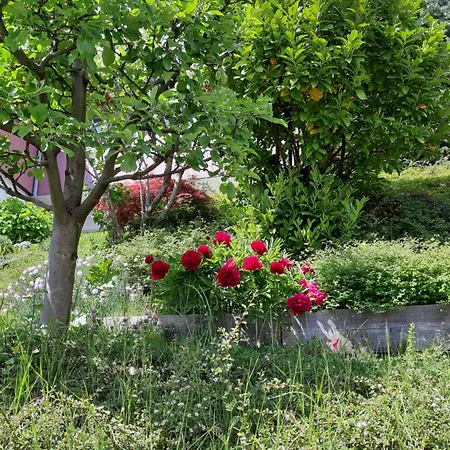 Zaunkoenig Apartamento *