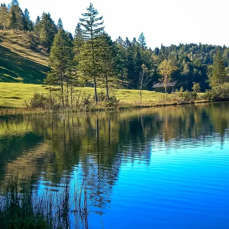 Zaunkoenig Apartamento