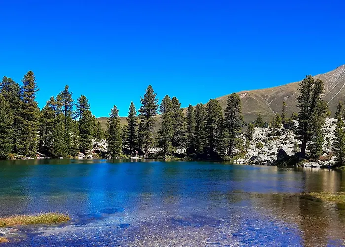 Zaunkoenig تيلفس