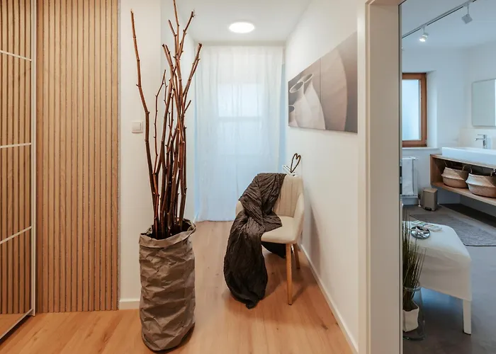 Zaunkoenig * تيلفس