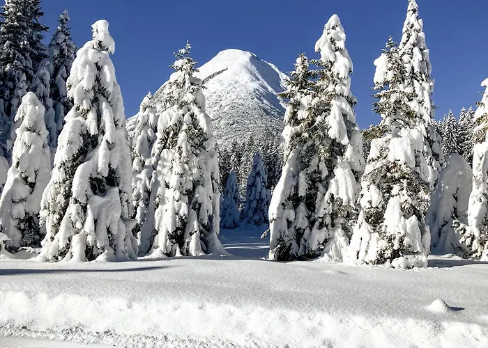 شقة Zaunkoenig تيلفس