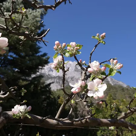 Apartment Zaunkönig *