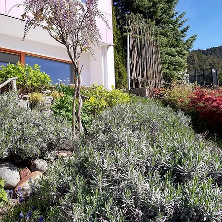 Apartment Zaunkönig *