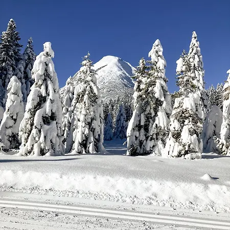 Apartment Zaunkönig Telfs