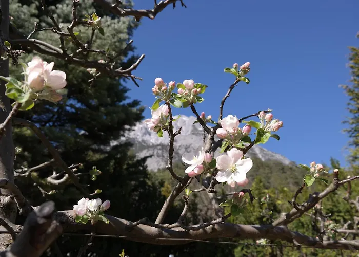 Apartment Zaunkönig *